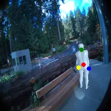 Ground truth input