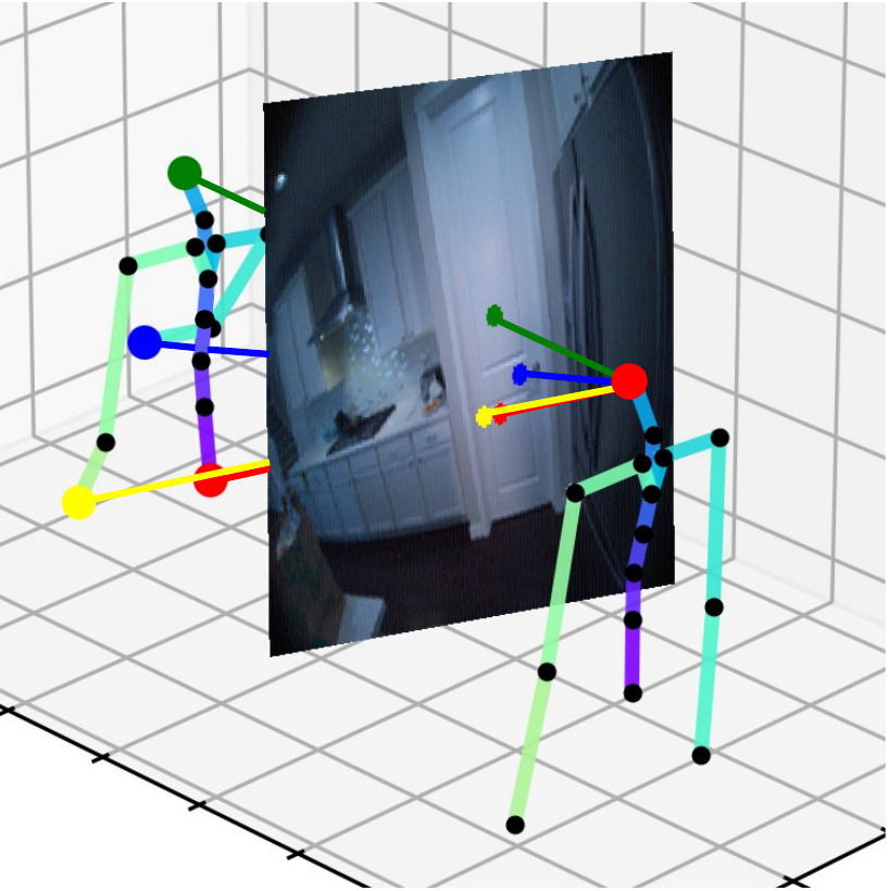 Projecting goal pose into the current observation