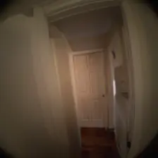 Observation, ex 1, step 7